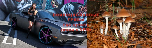спайс Балахна